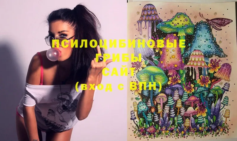 Псилоцибиновые грибы Magic Shrooms  хочу   Ельня 